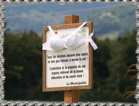 L`insolite Sakanéné